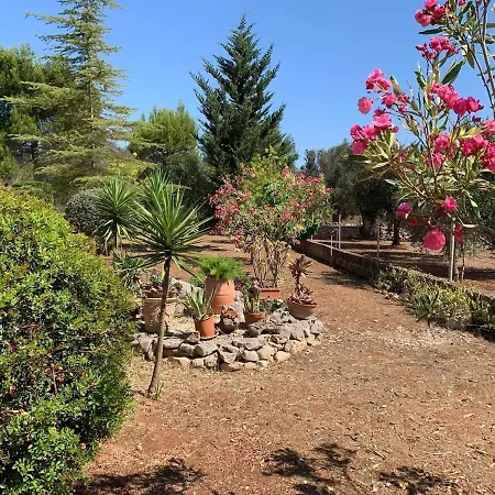 Dolce Villa